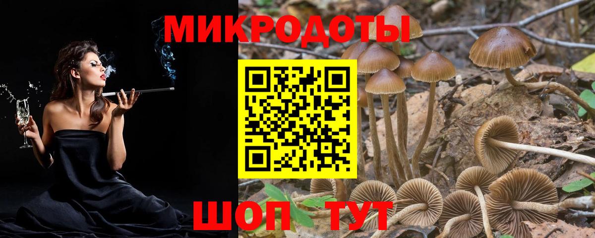 Галлюциногенные грибы GOLDEN TEACHER Истра